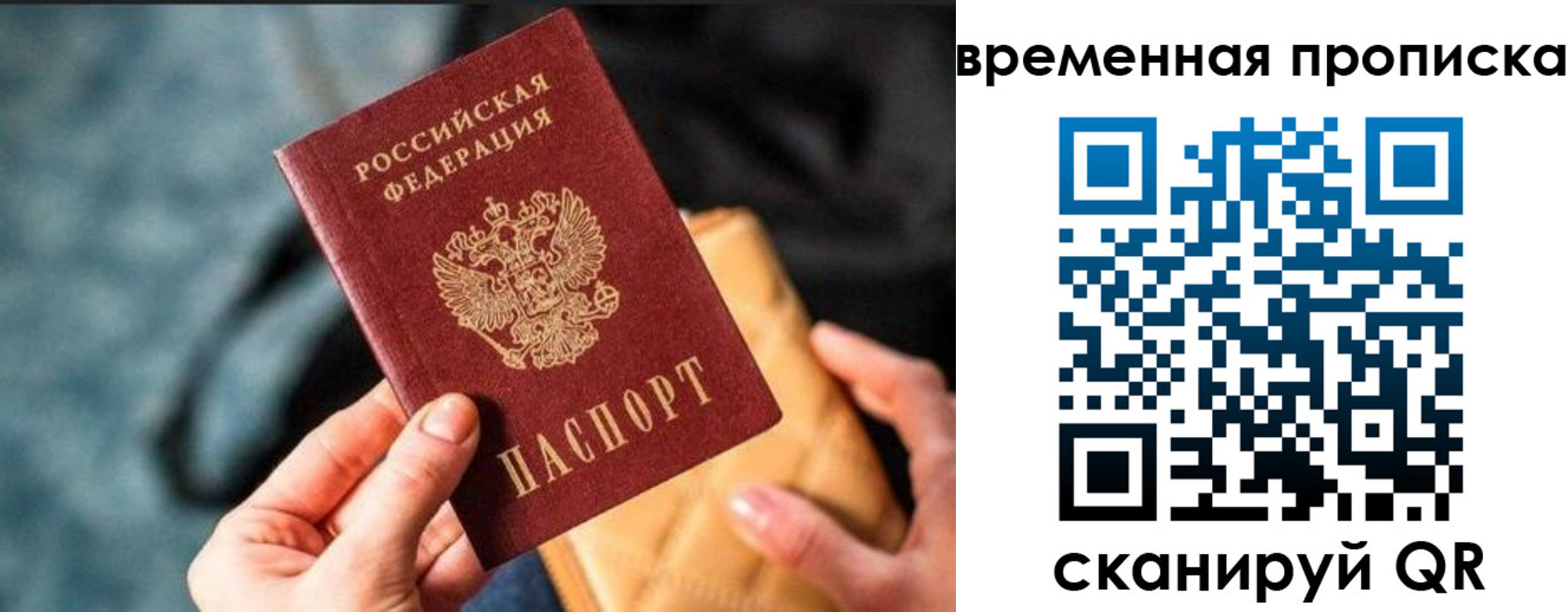временная регистрация в Светлогорске